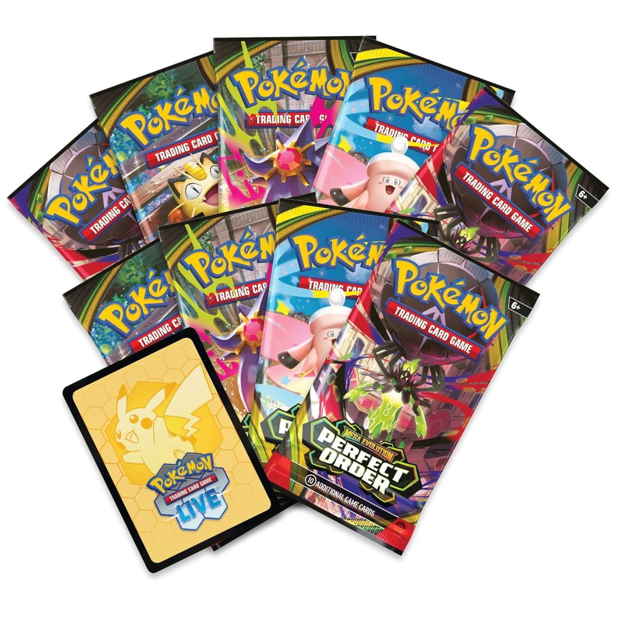 Perfect Order Elite Trainer Box